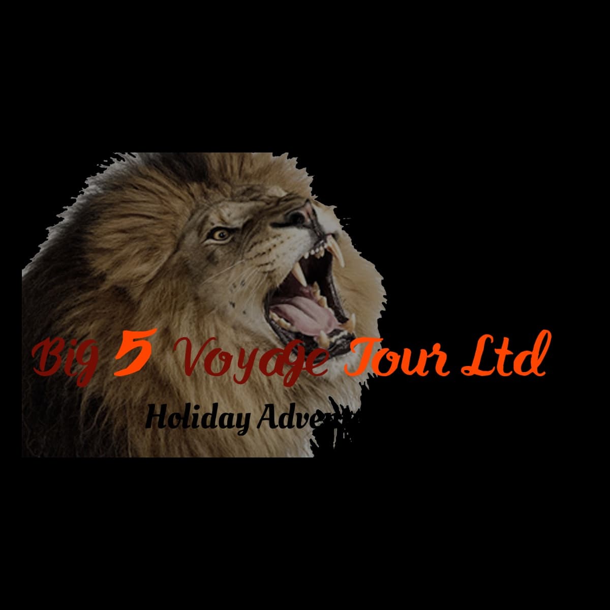 Big 5 Voyage Limited logo