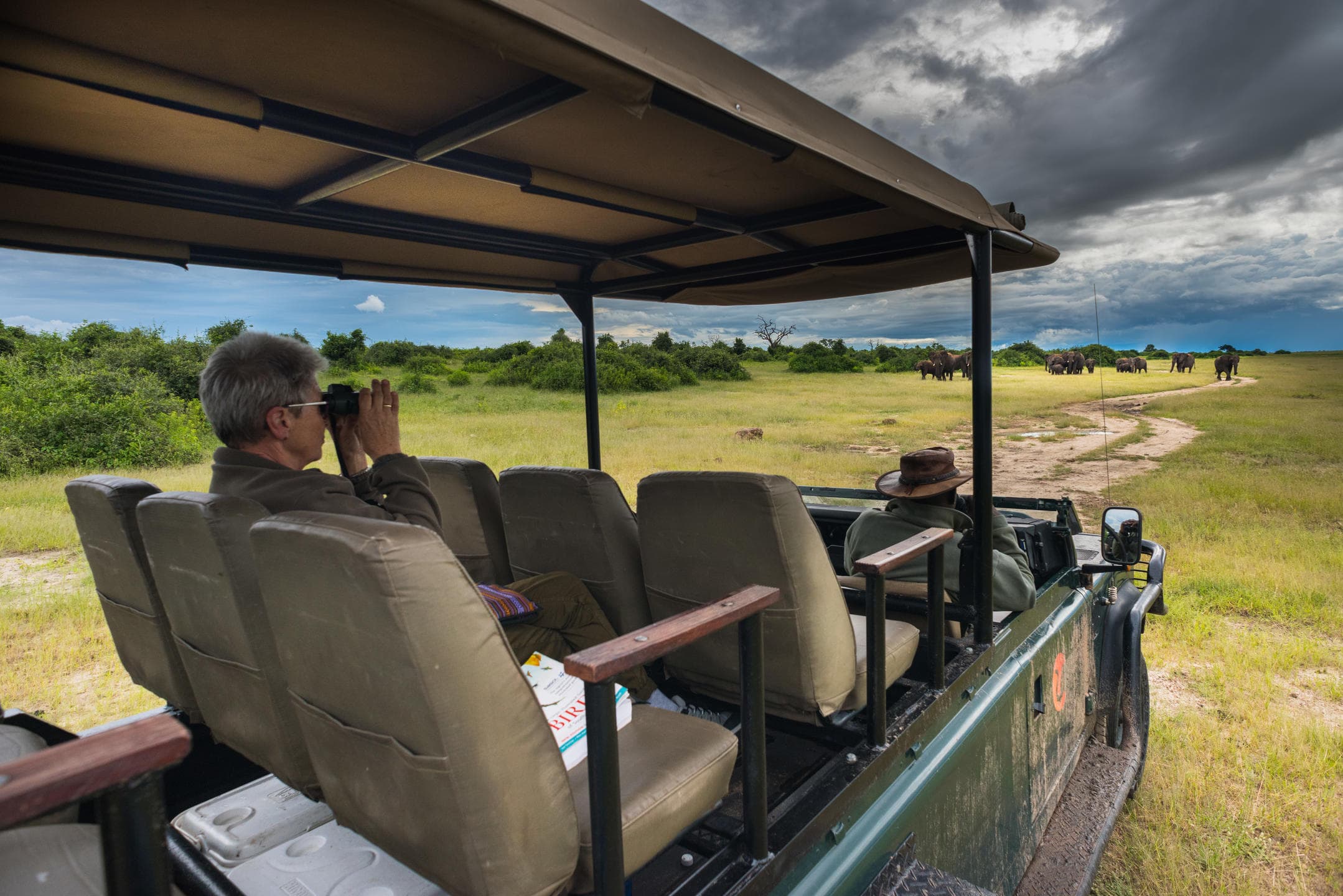 1-Day Chobe Day Trip from Victoria Falls
