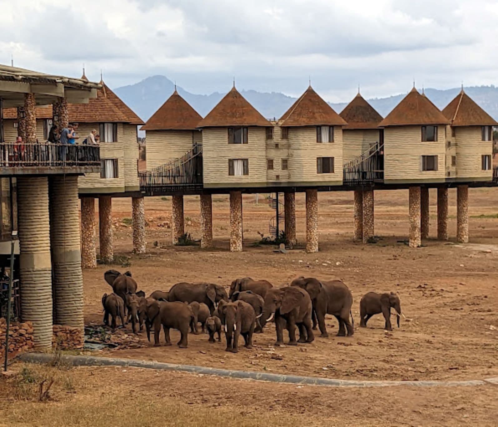 2-Day Taita Hill Sanctuary from Diani/Mombasa