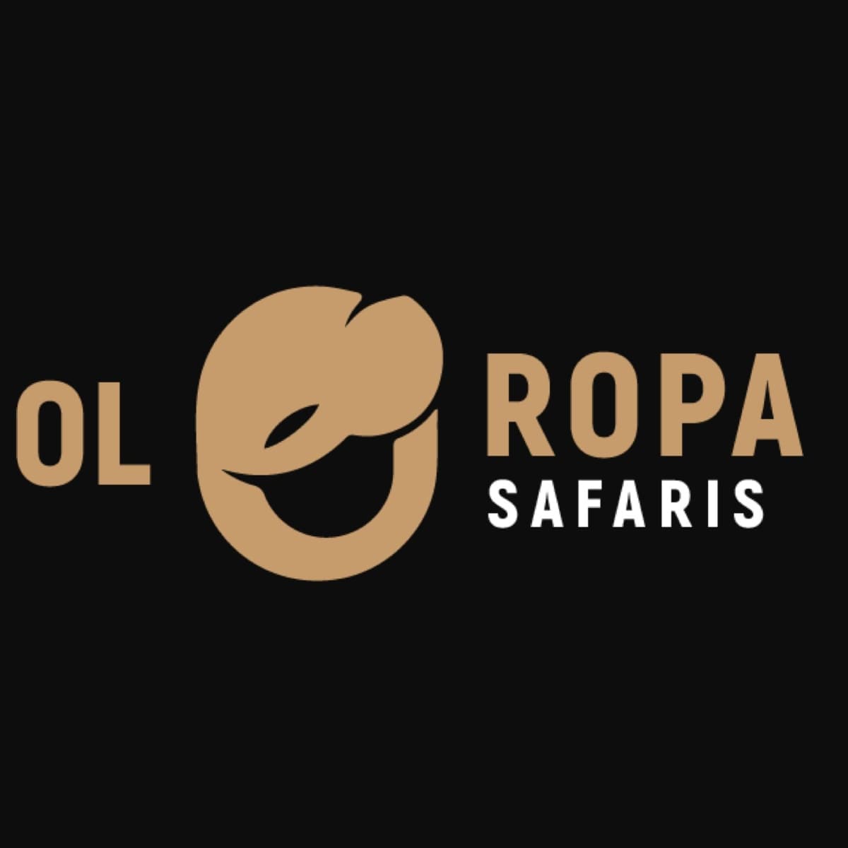 OLO ROPA TOURS & TRAVEL LIMITED Logo