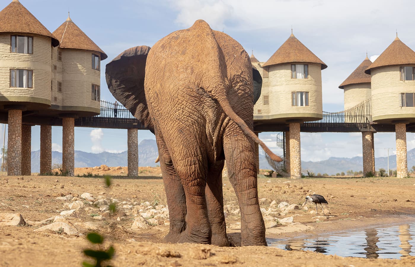 3-Day Salt Lick Safari Lodge Experience — With SGR Madaraka Passenger Service