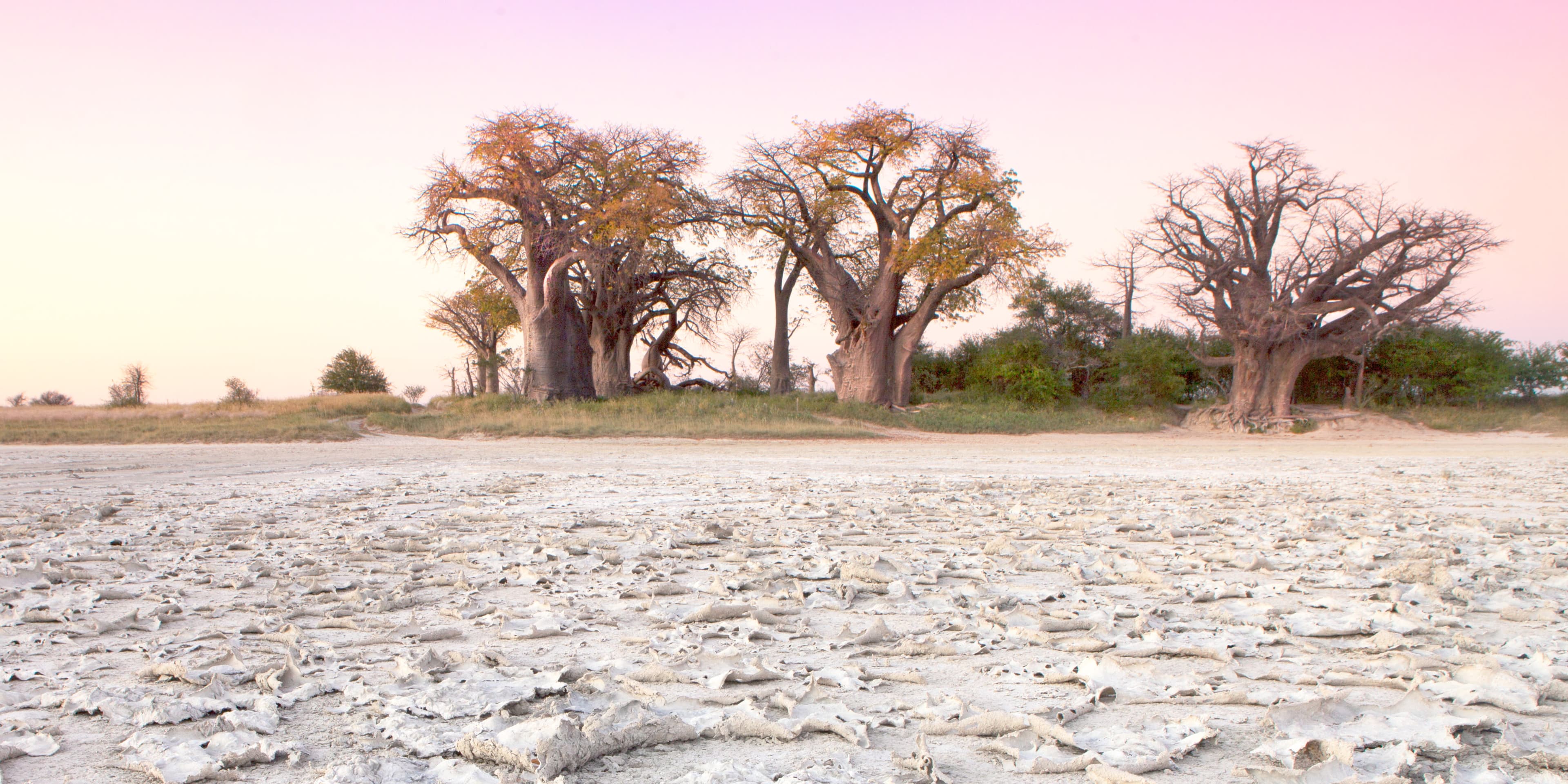 12-Day Victoria Falls – Chobe National Park -Elephants Sands- Makgadikgadi Salt Pans- Okavango Delta- Moremi Safari
