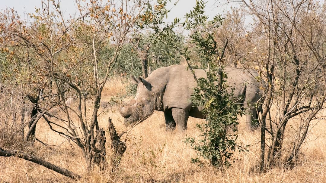 10 Best Safari Operators in East Africa — Verified Reviews 2026