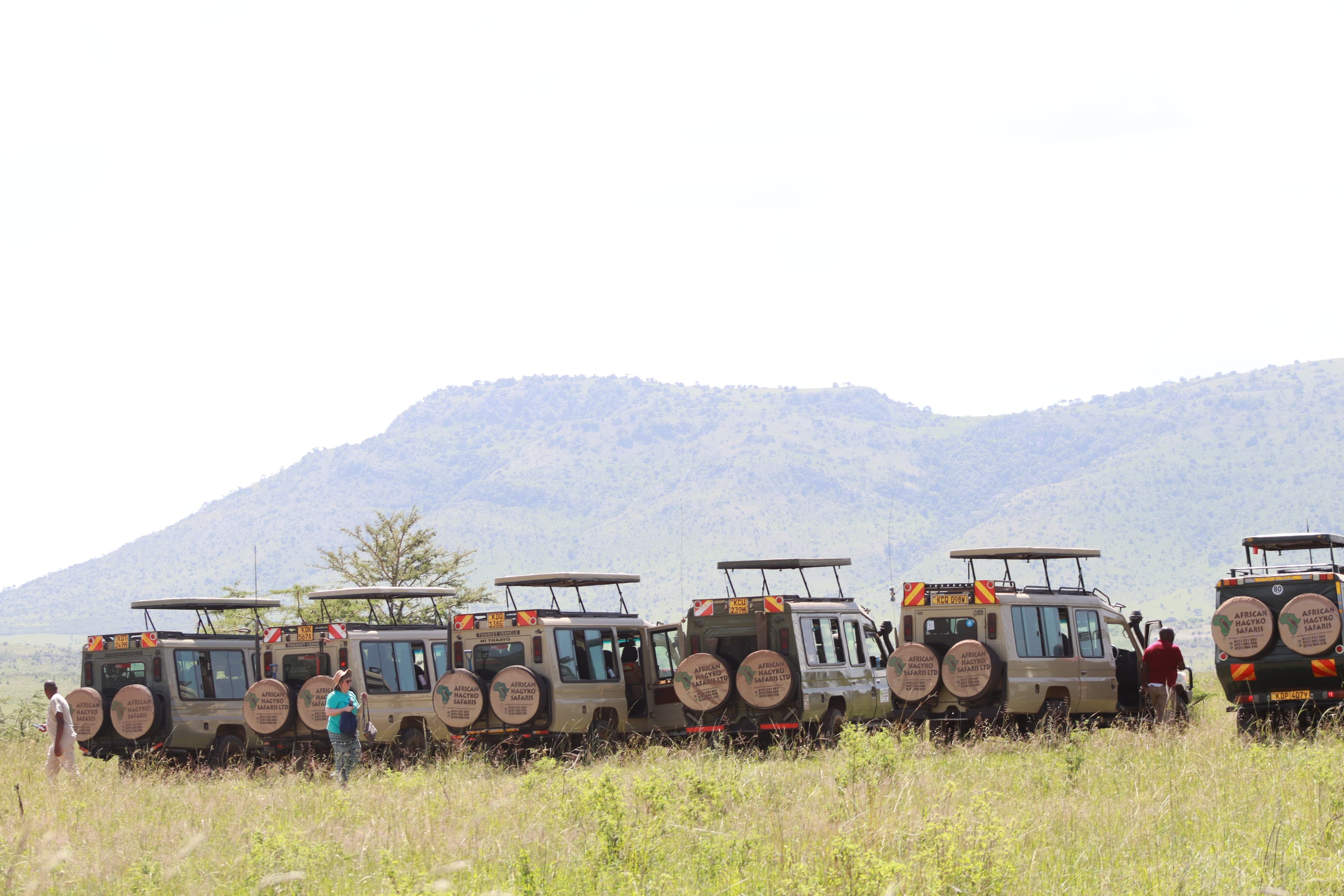 5-Day Masai Mara, Naivasha and Amboseli Safari