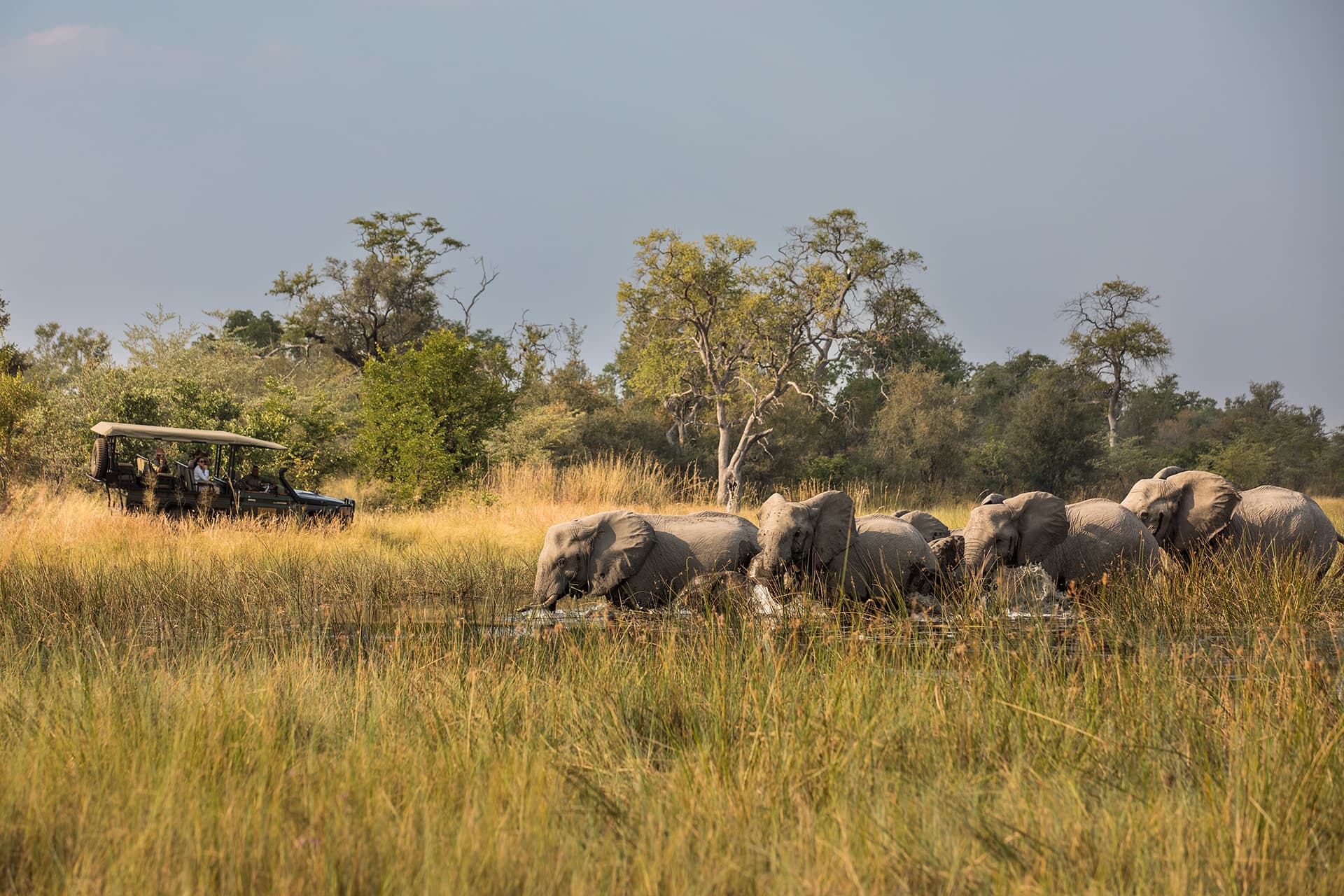 3-Day Masai Mara Classic safari