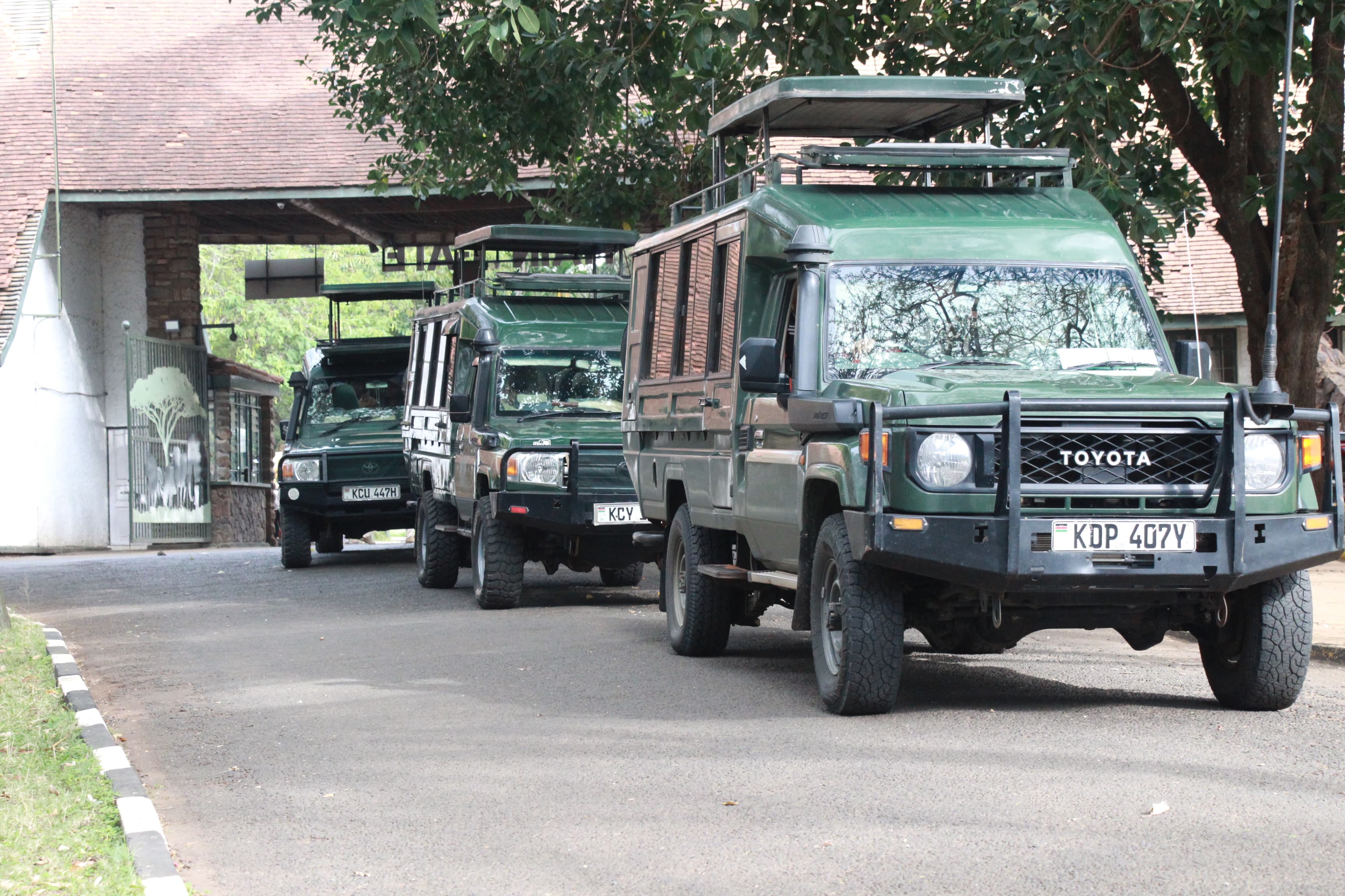 3-Day Masai Mara Classic safari