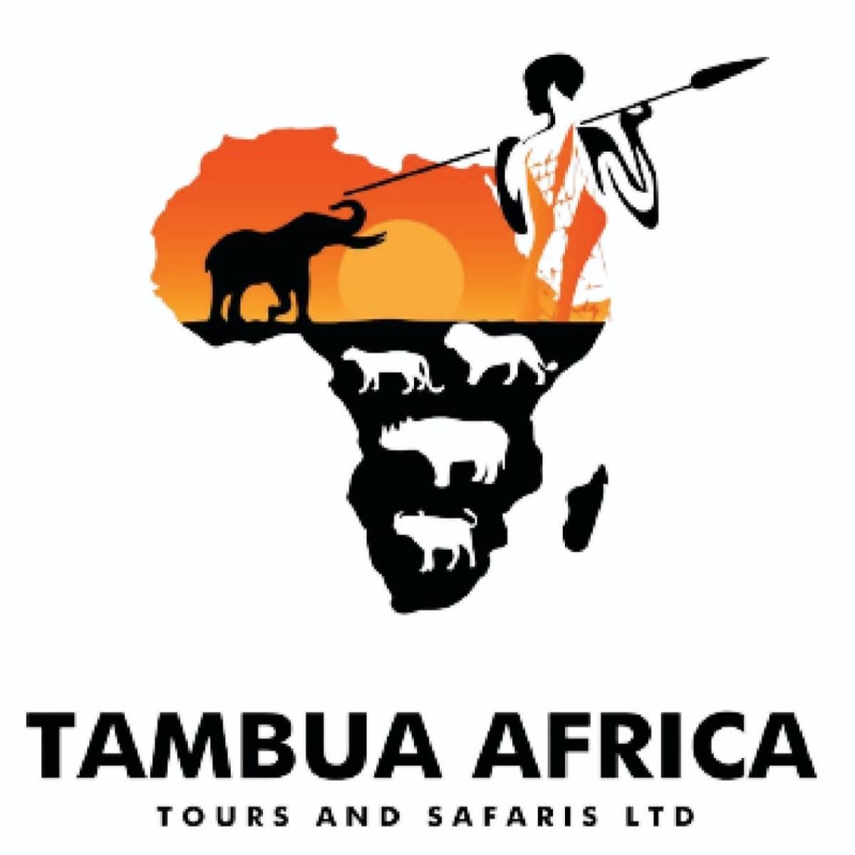 Tambua Africa Tours and Safaris Ltd logo