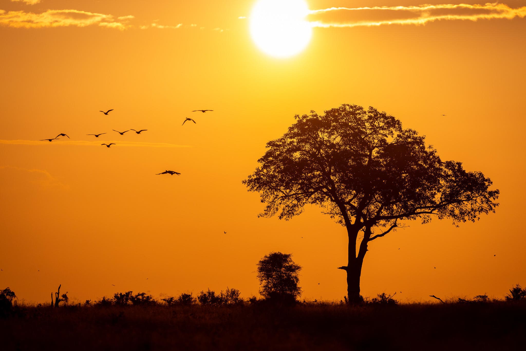 4-Day Kruger Mid-Range Safari from Johannesburg