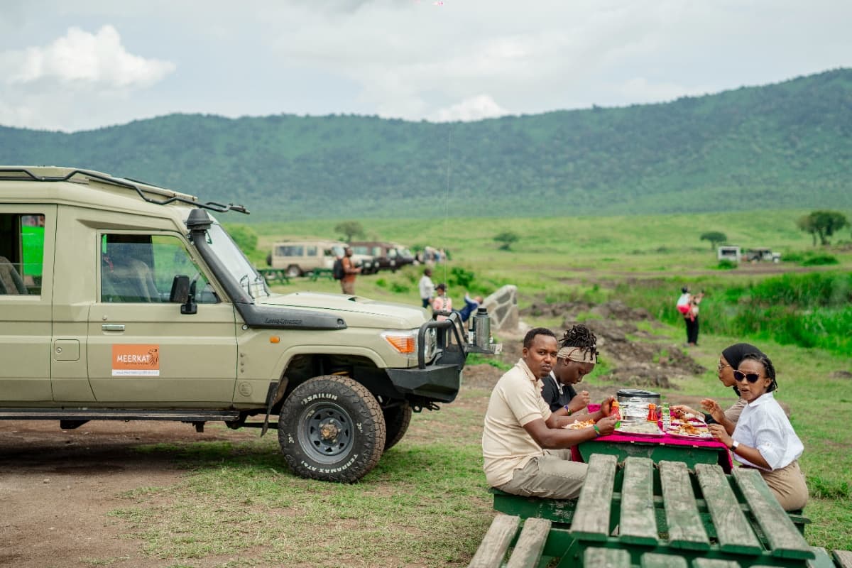 Meerkat Expedition Safari