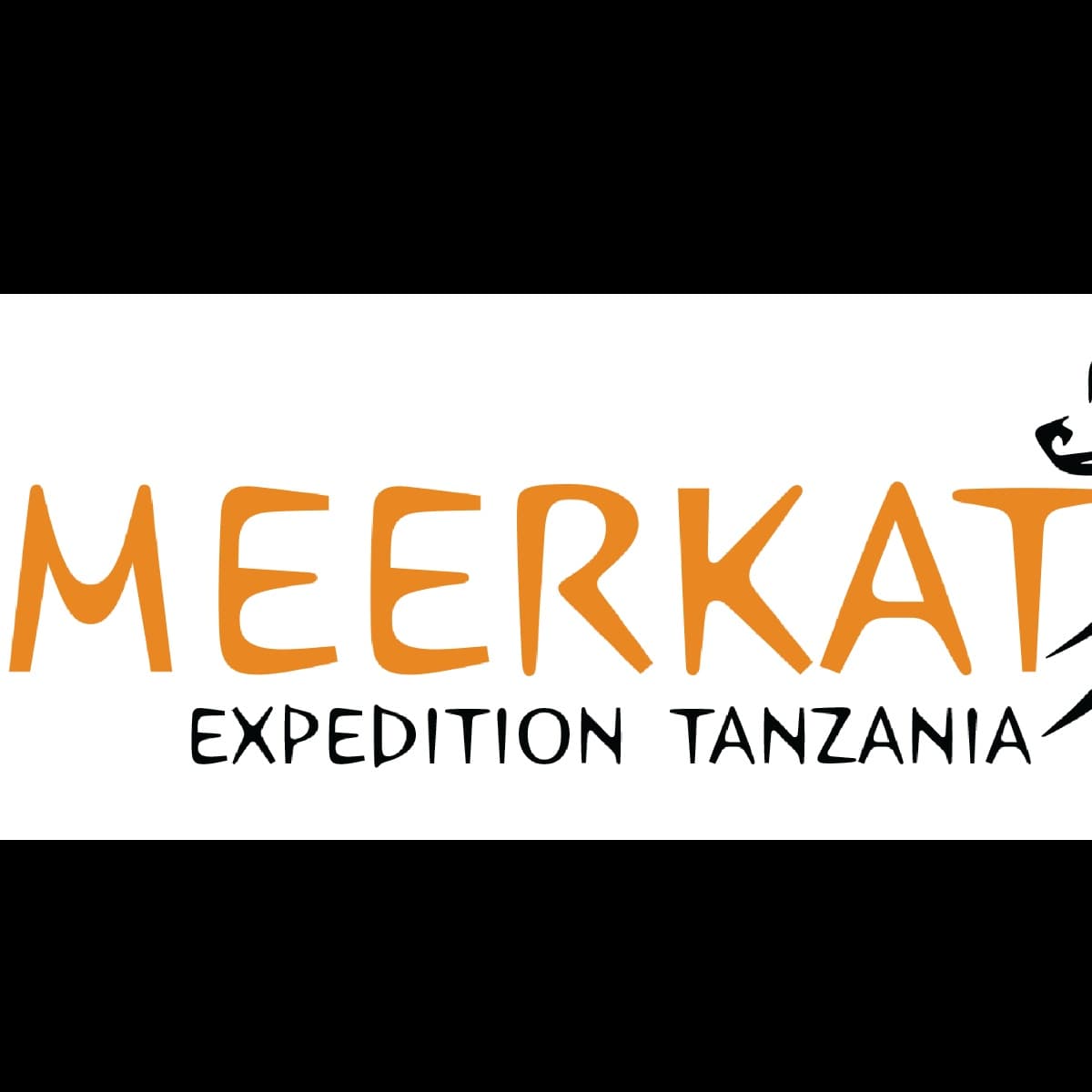 Meerkat Expedition Safari logo