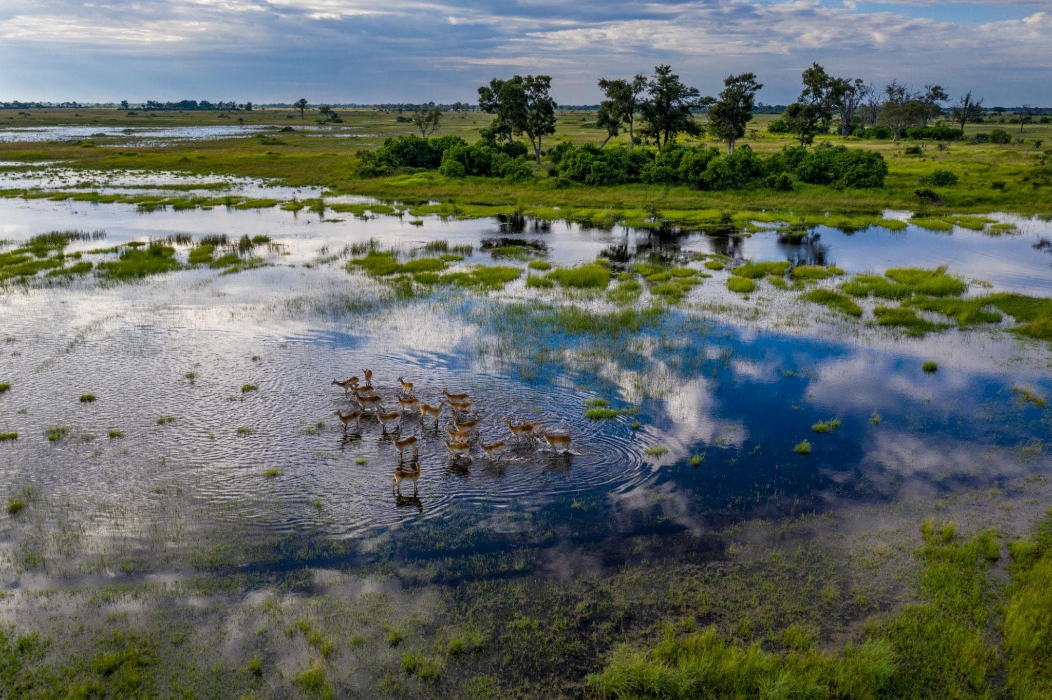 15-Day Ultimate Zambia Overland Safari