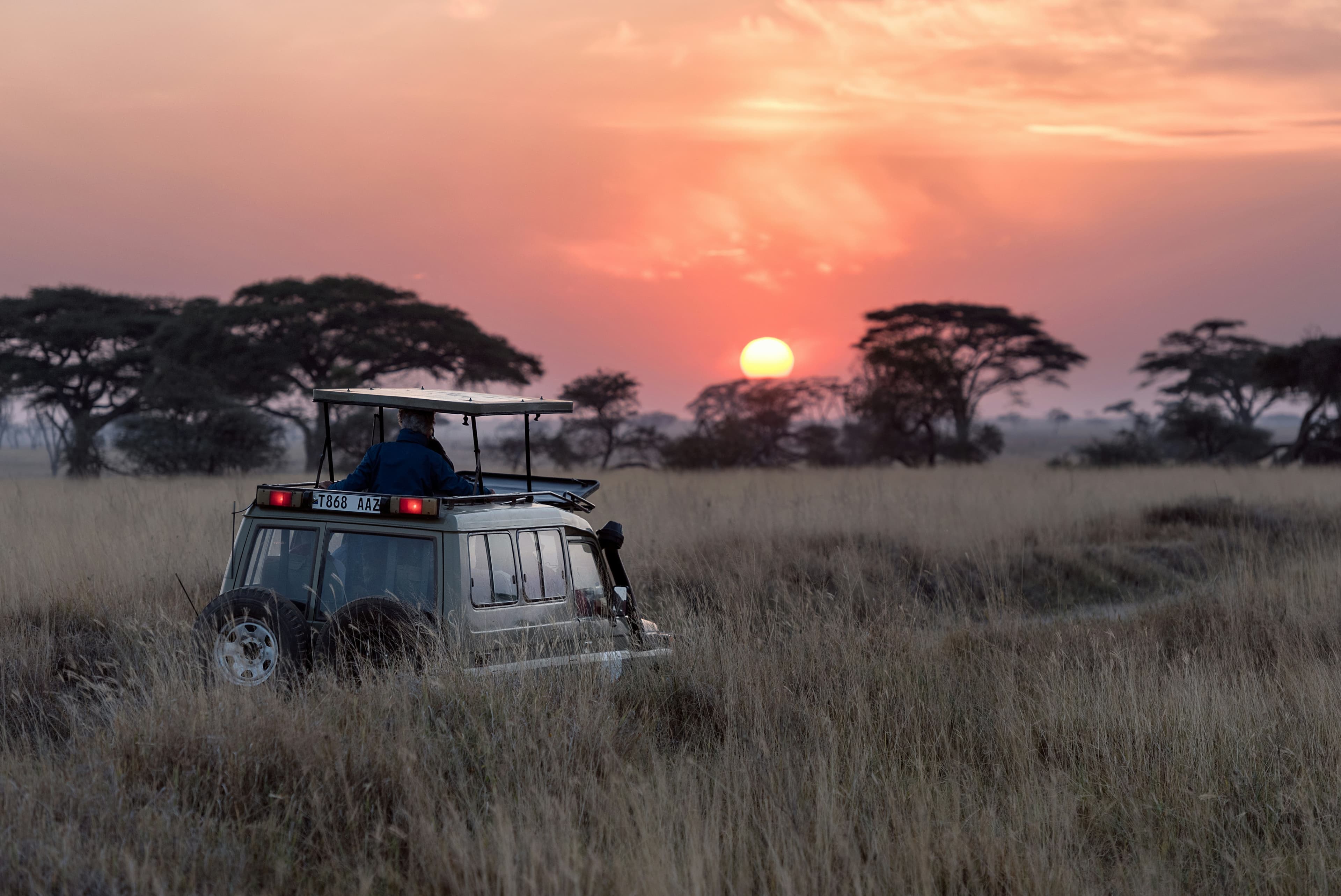 3-Day Northern Tanzania Highlights: The Essential Wilderness