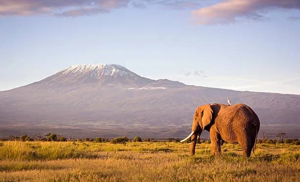 6-Day Kilimanjaro Trekking Marangu Best Route