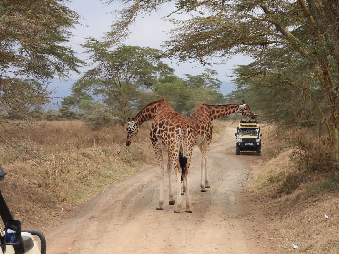 3-Day Masai Mara National Reserve