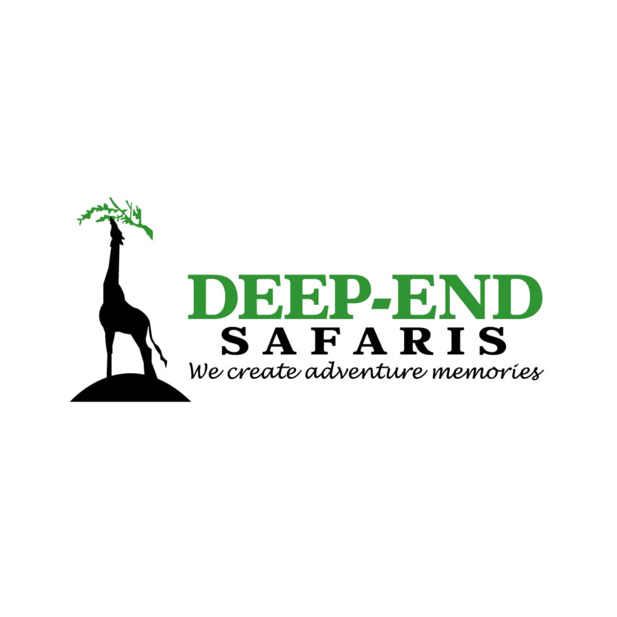 Deep End Tours and Safaris logo