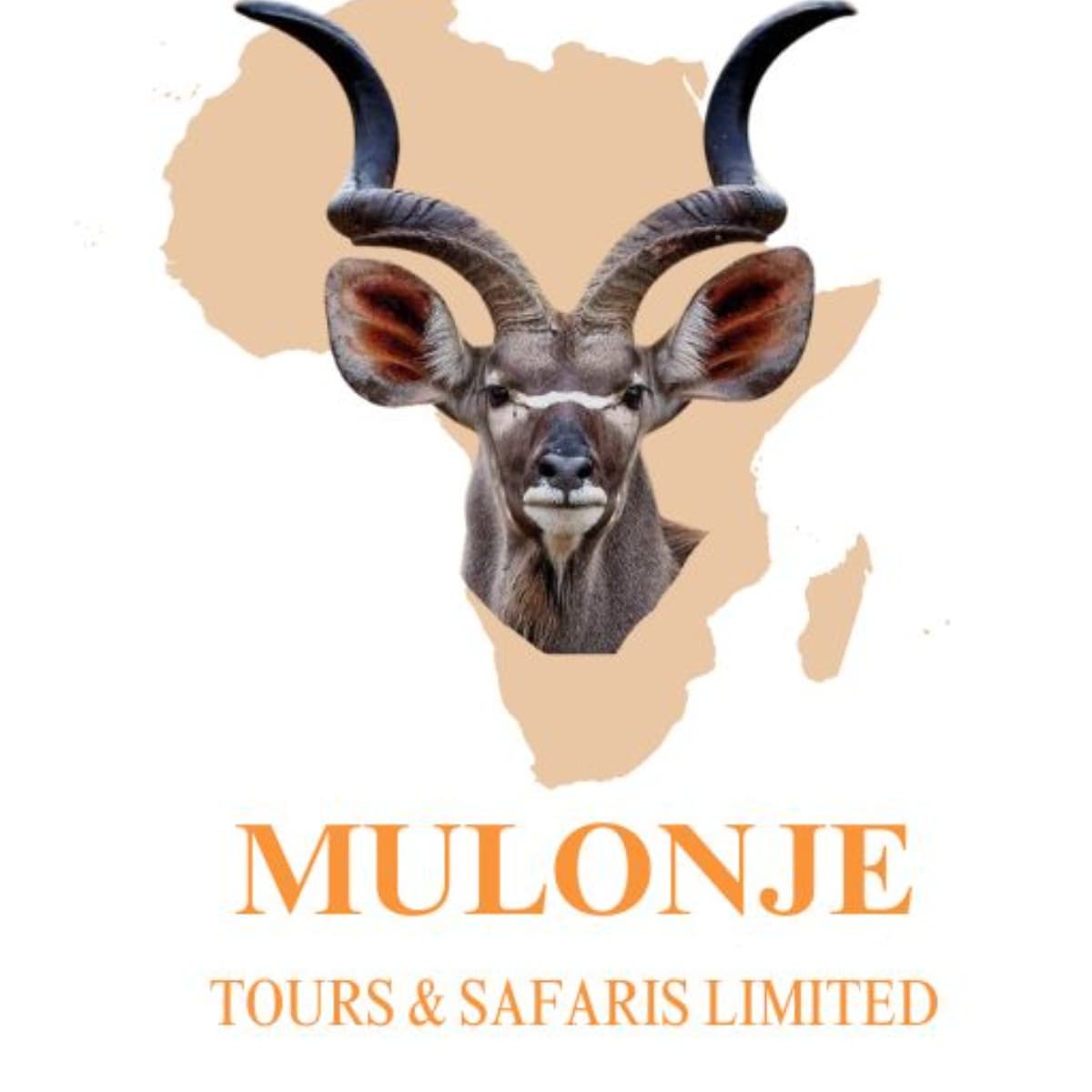 MULONJE TOURS AND SAFARIS LIMITED logo