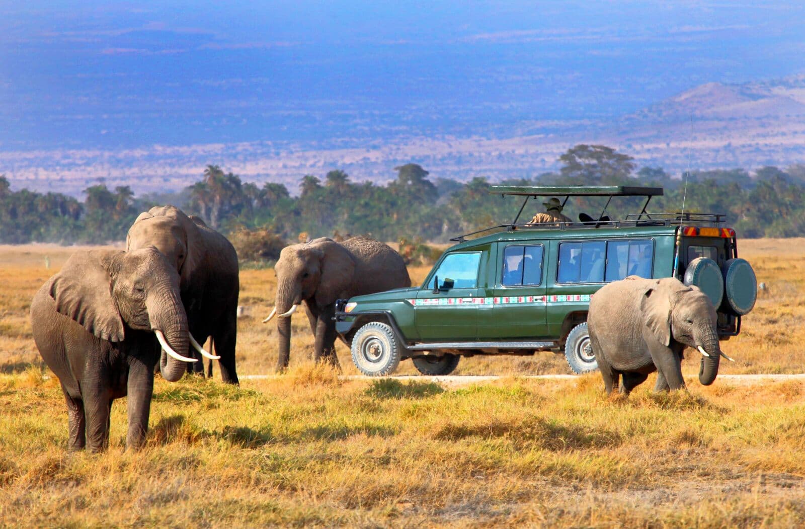 4-Day Maasai Mara & Lake Nakuru National Park