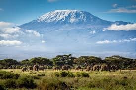 3-Day Amboseli Classic Safari