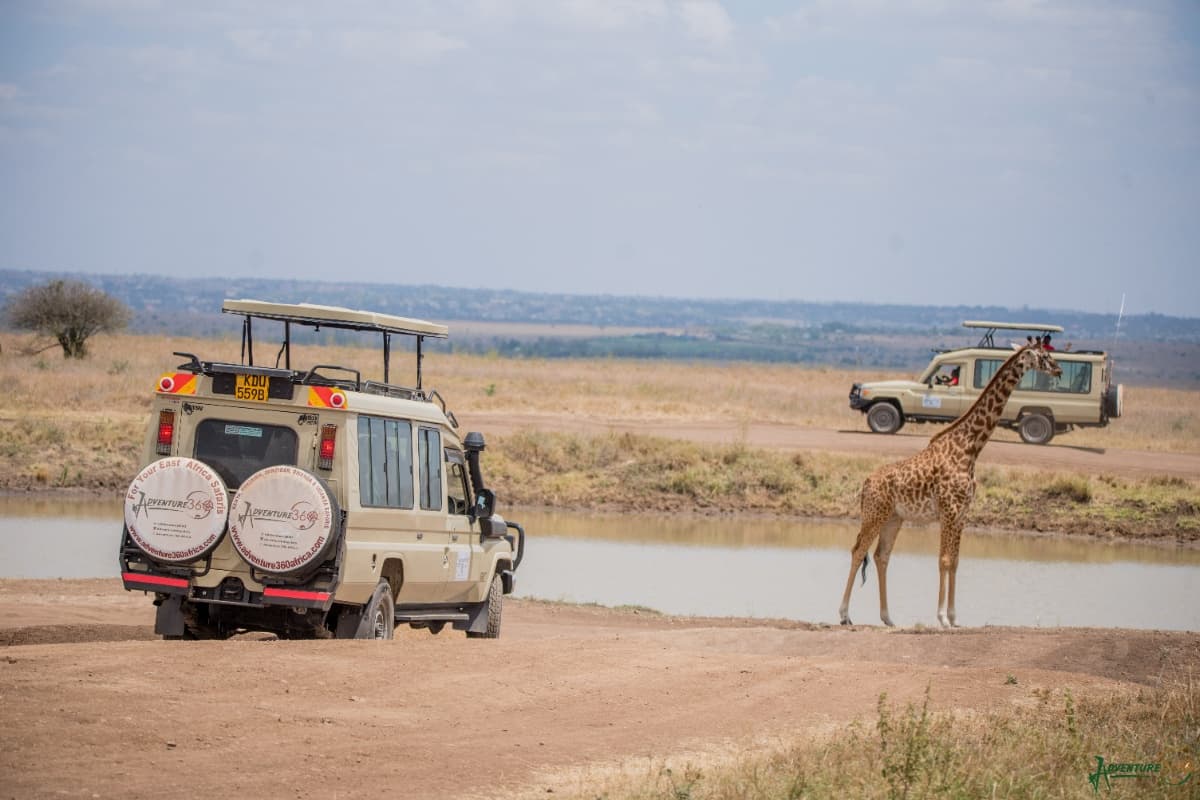 Adventure 360 Africa