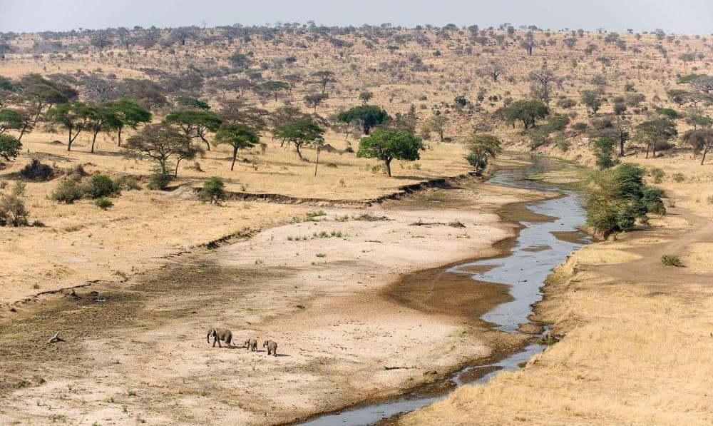 2-Day 2-Day Holiday Offer from Zanzibar- Tarangire and Crater