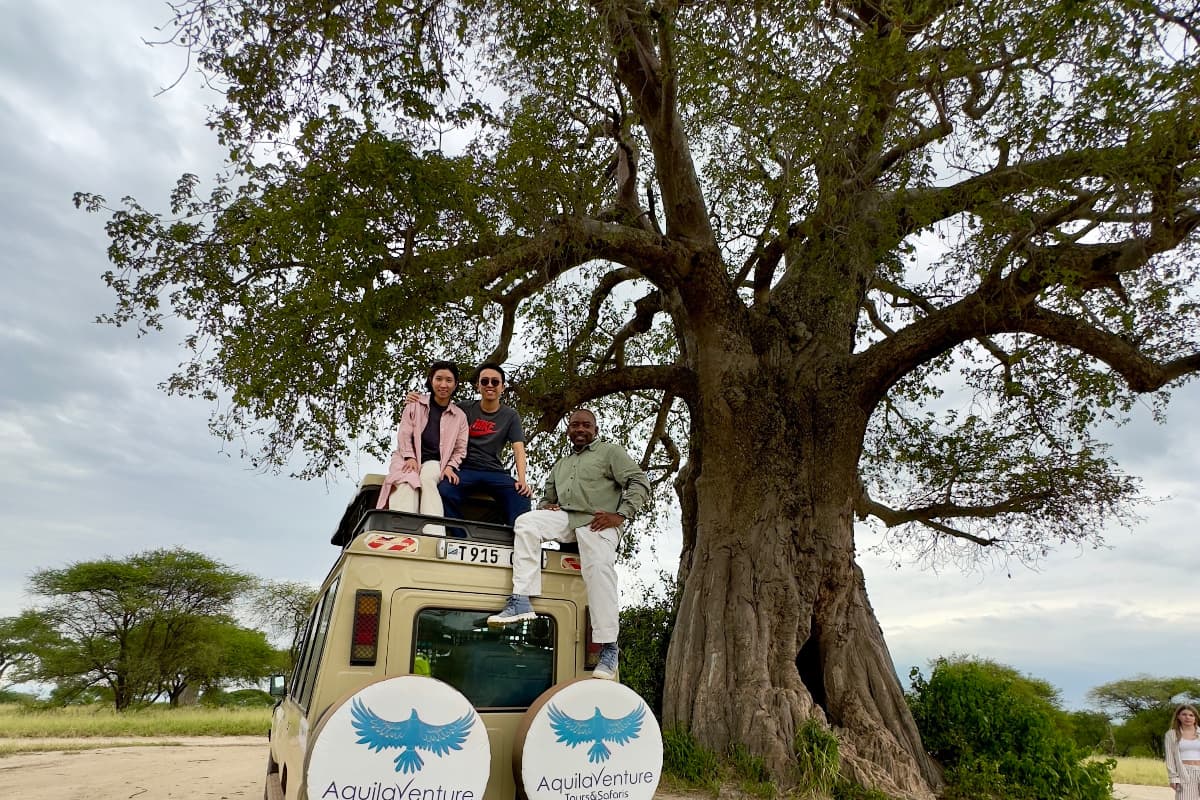 Aquila Venture Company Limited