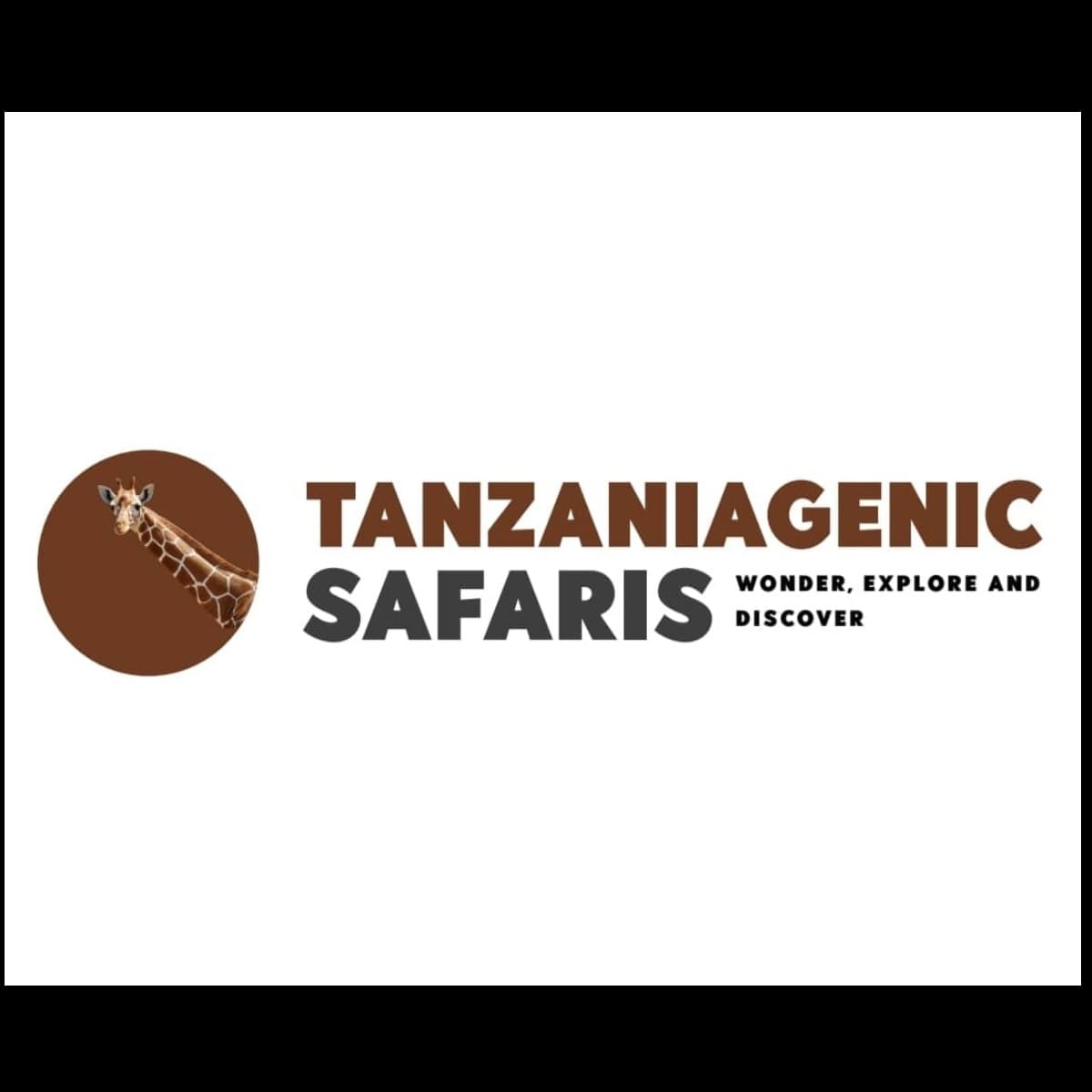 Tanzaniagenic Safaris logo