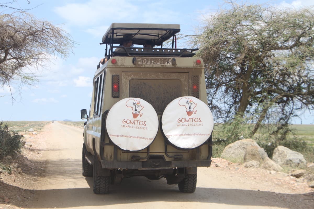 Gowitos Safaris and Holidays