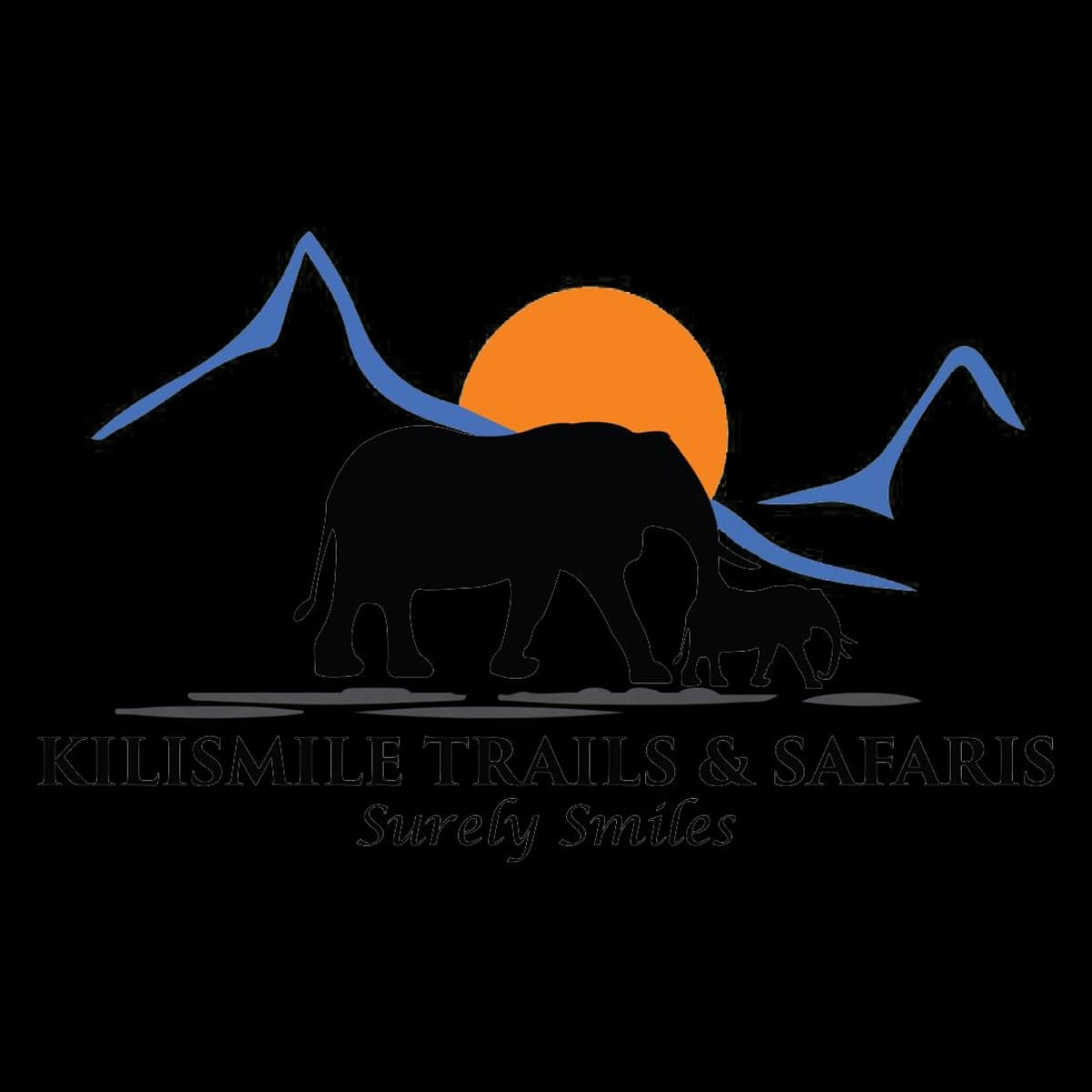 KILISMILE TRAILS & SAFARIS logo