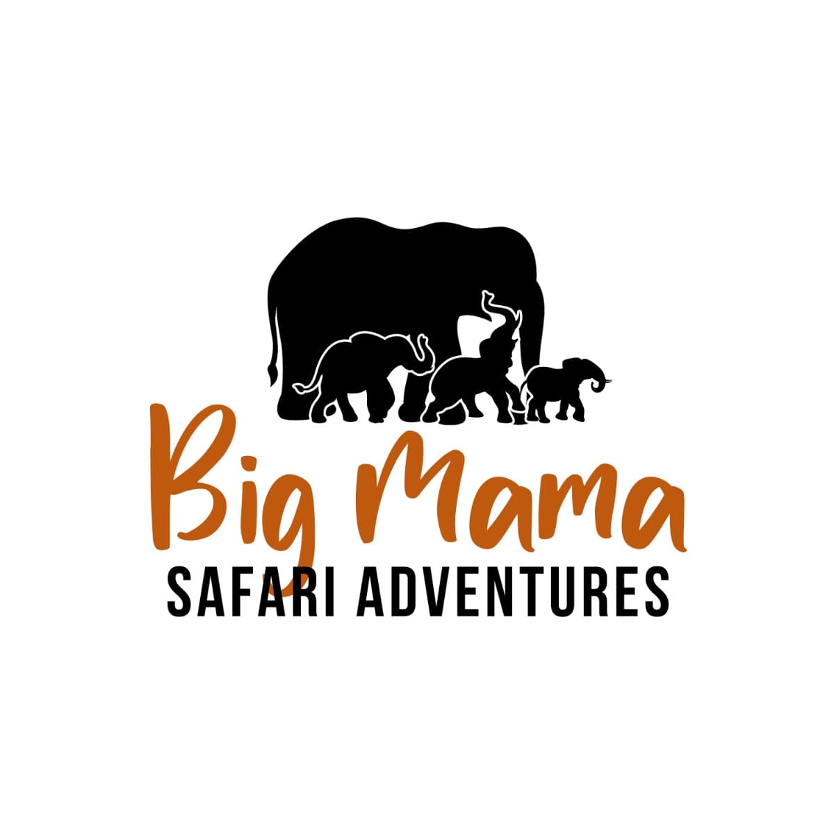 Big Mama Safari Adventures logo