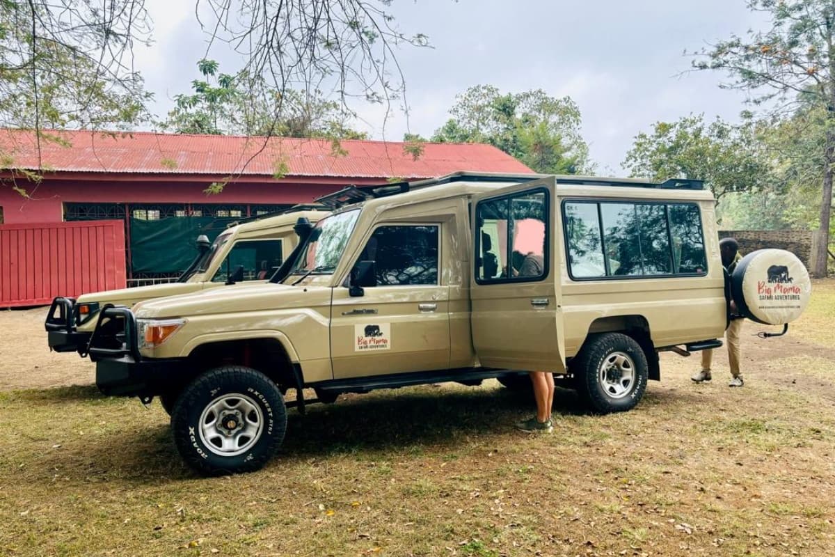Big Mama Safari Adventures