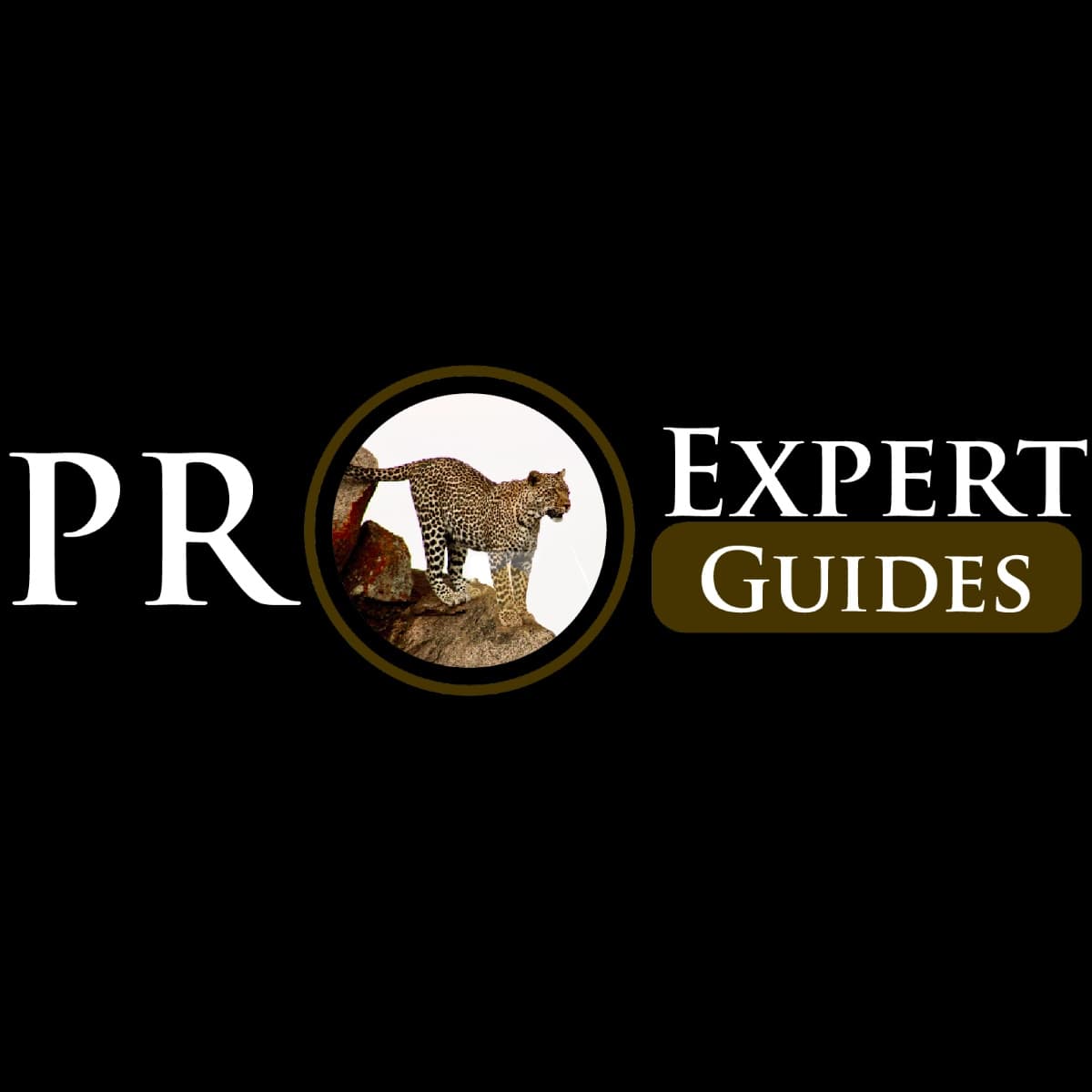 Pro Expert Guides logo