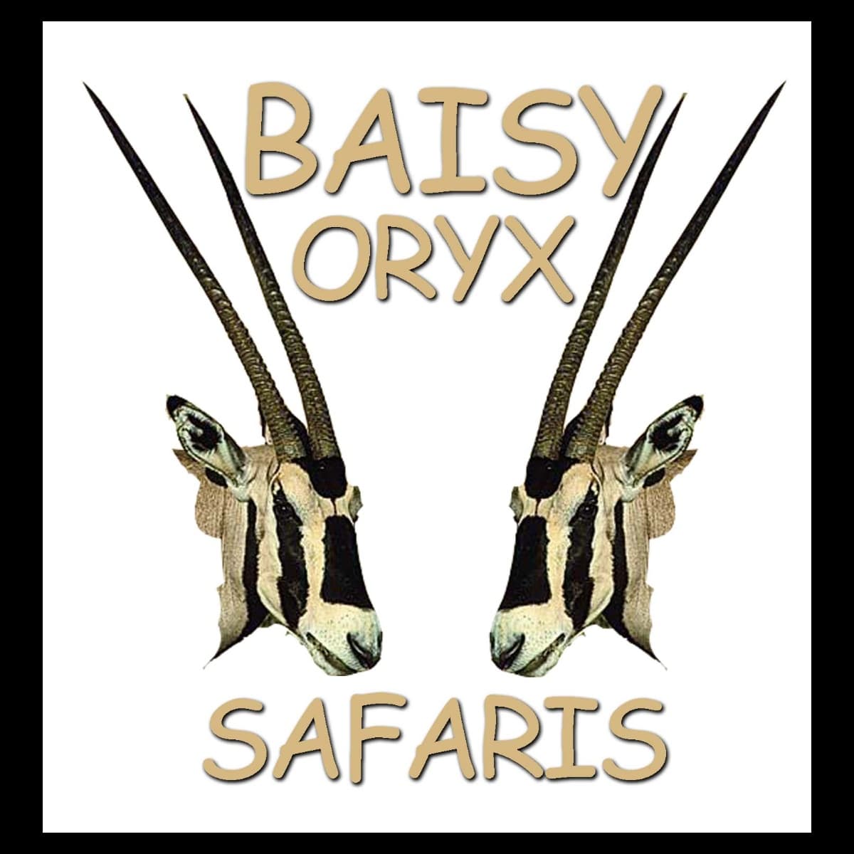 Baisy Oryx Safaris Ltd logo