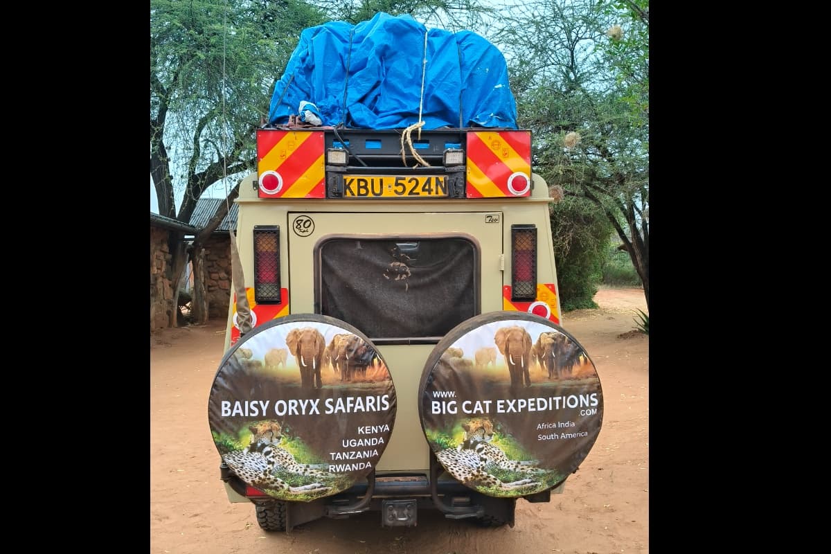 Baisy Oryx Safaris Ltd