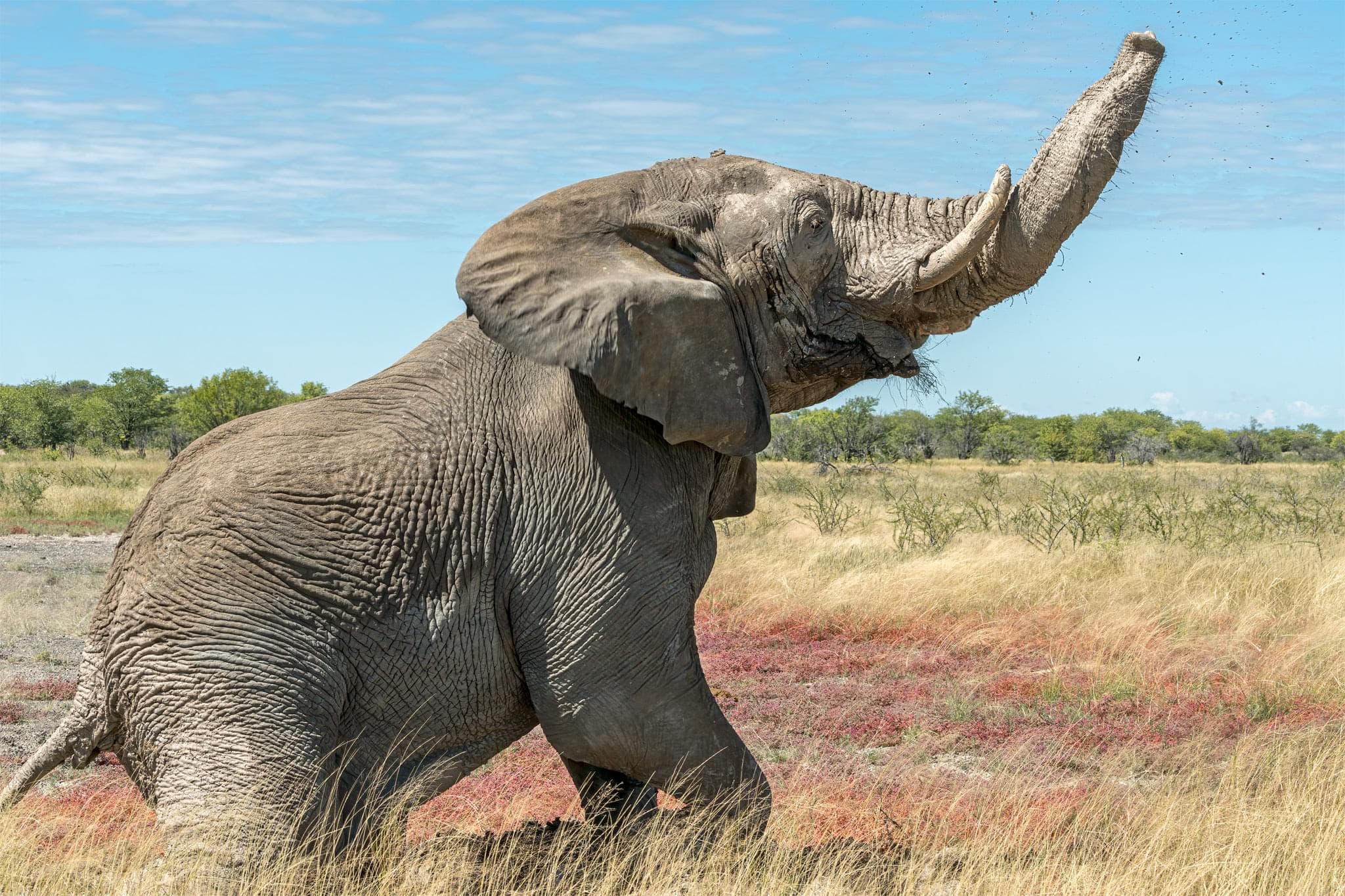 2-Day Tarangire and ngorongoro safari