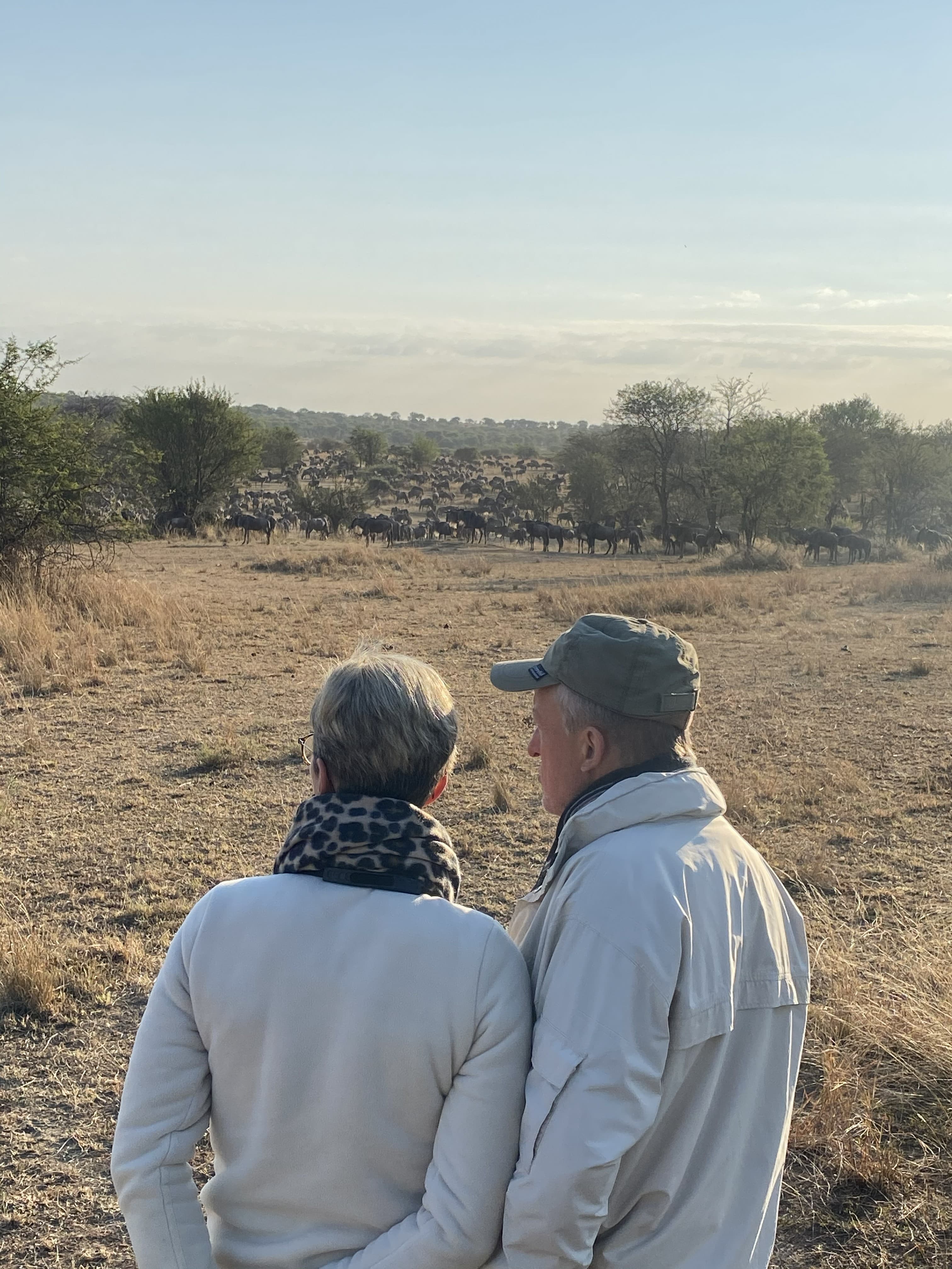 10-Day Northern circuit safari