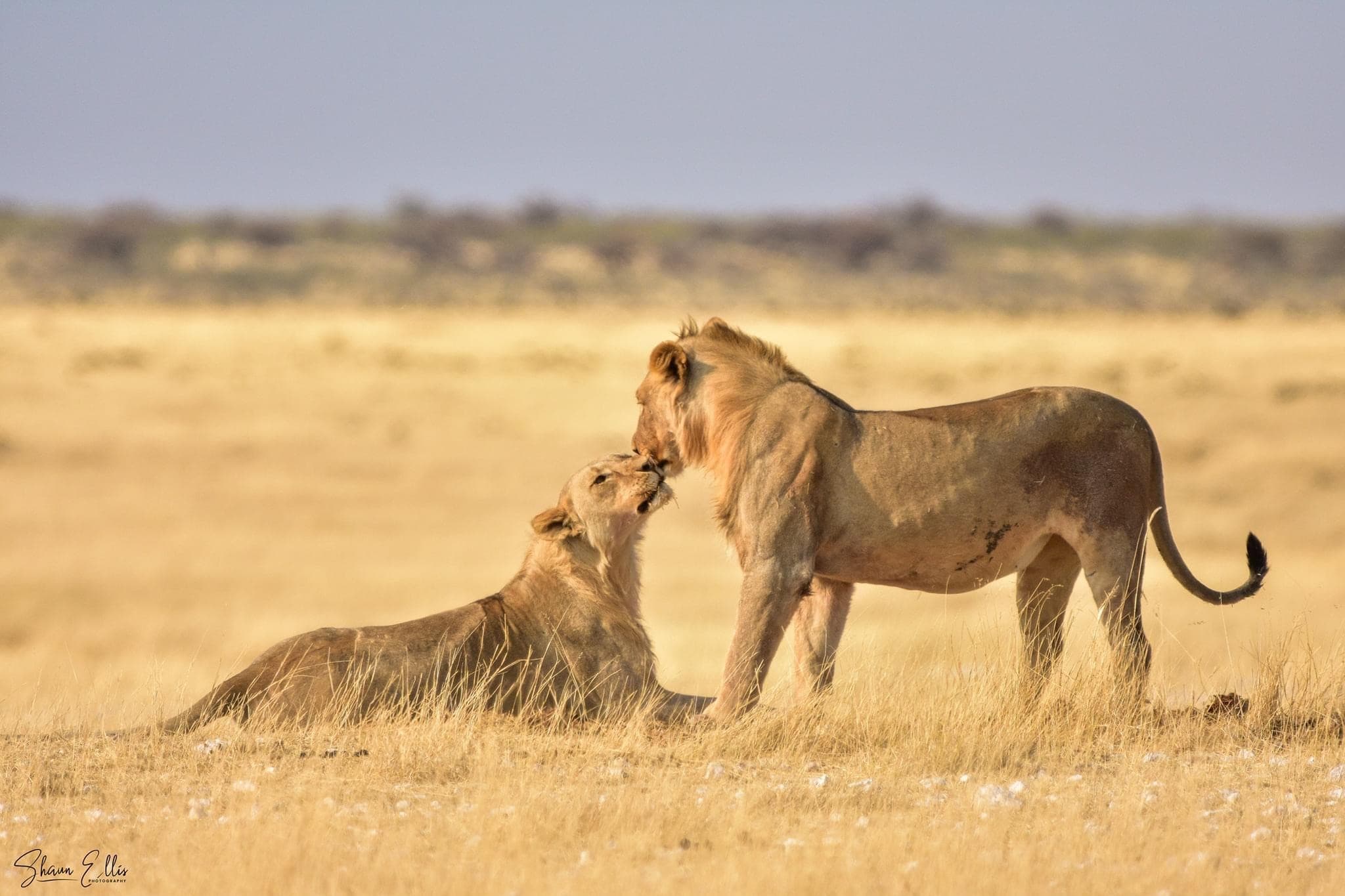 2-Day Tarangire and ngorongoro safari
