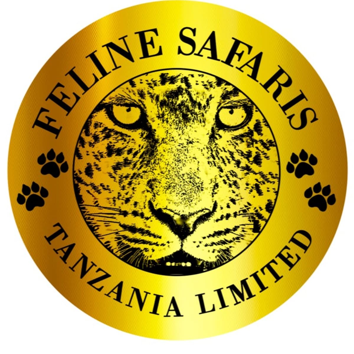 FELINE SAFARIS TANZANIA logo