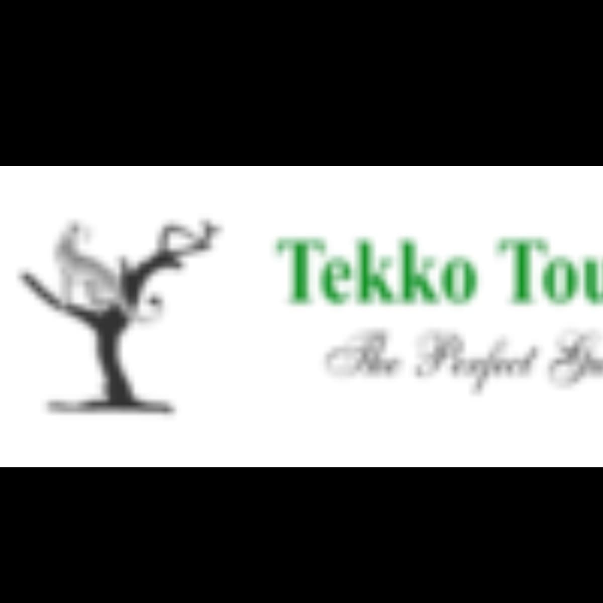 Tekko Tours & Travel logo