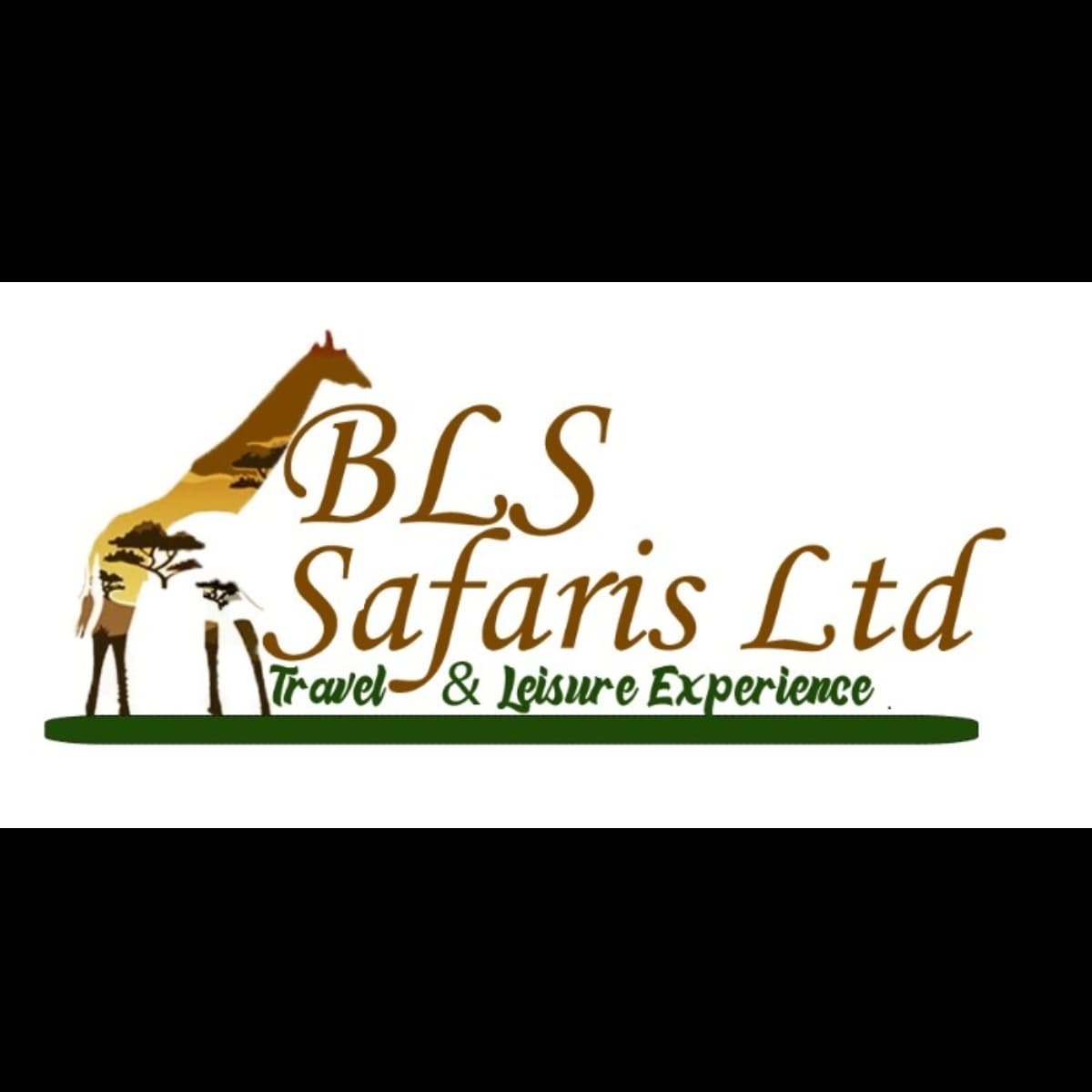 BLS SAFARIS LTD logo