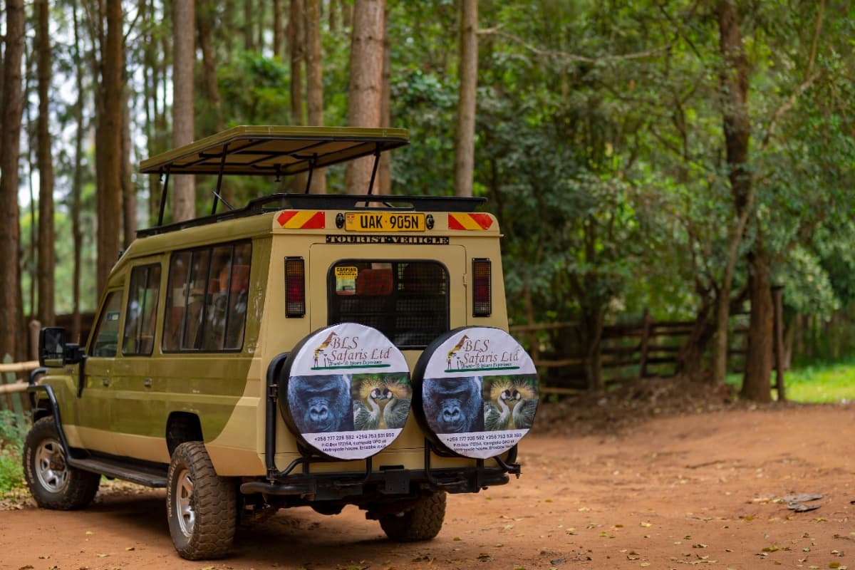 BLS SAFARIS LTD