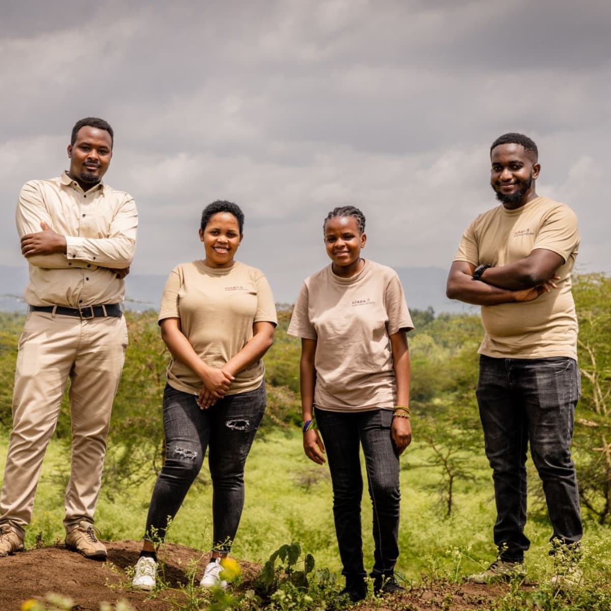 Diana Tanzania Safaris logo