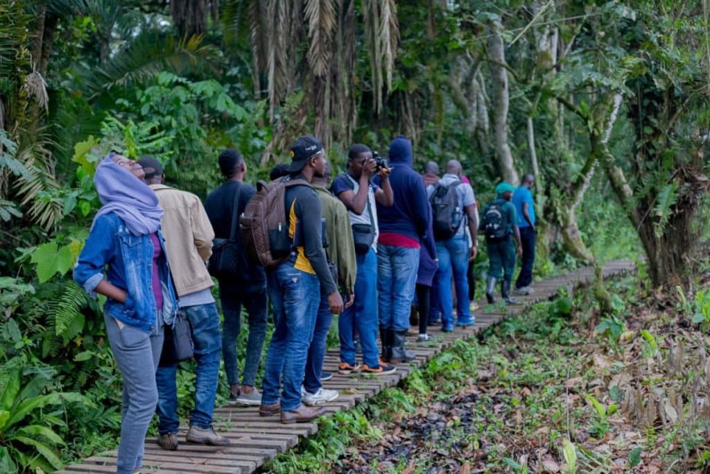 3-Day Thrilling Kibale National Park Chimpanzee Tour