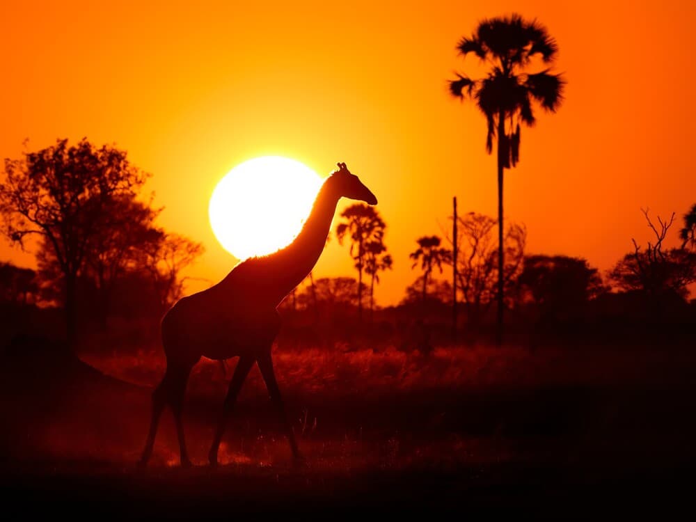 9-Day Day Zimbabwe Explorer