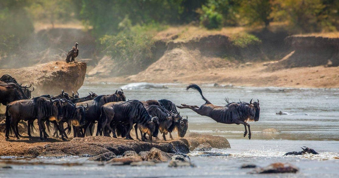 8-Day Explore Tarangire, Ngorongoro, Serengeti, Materuni