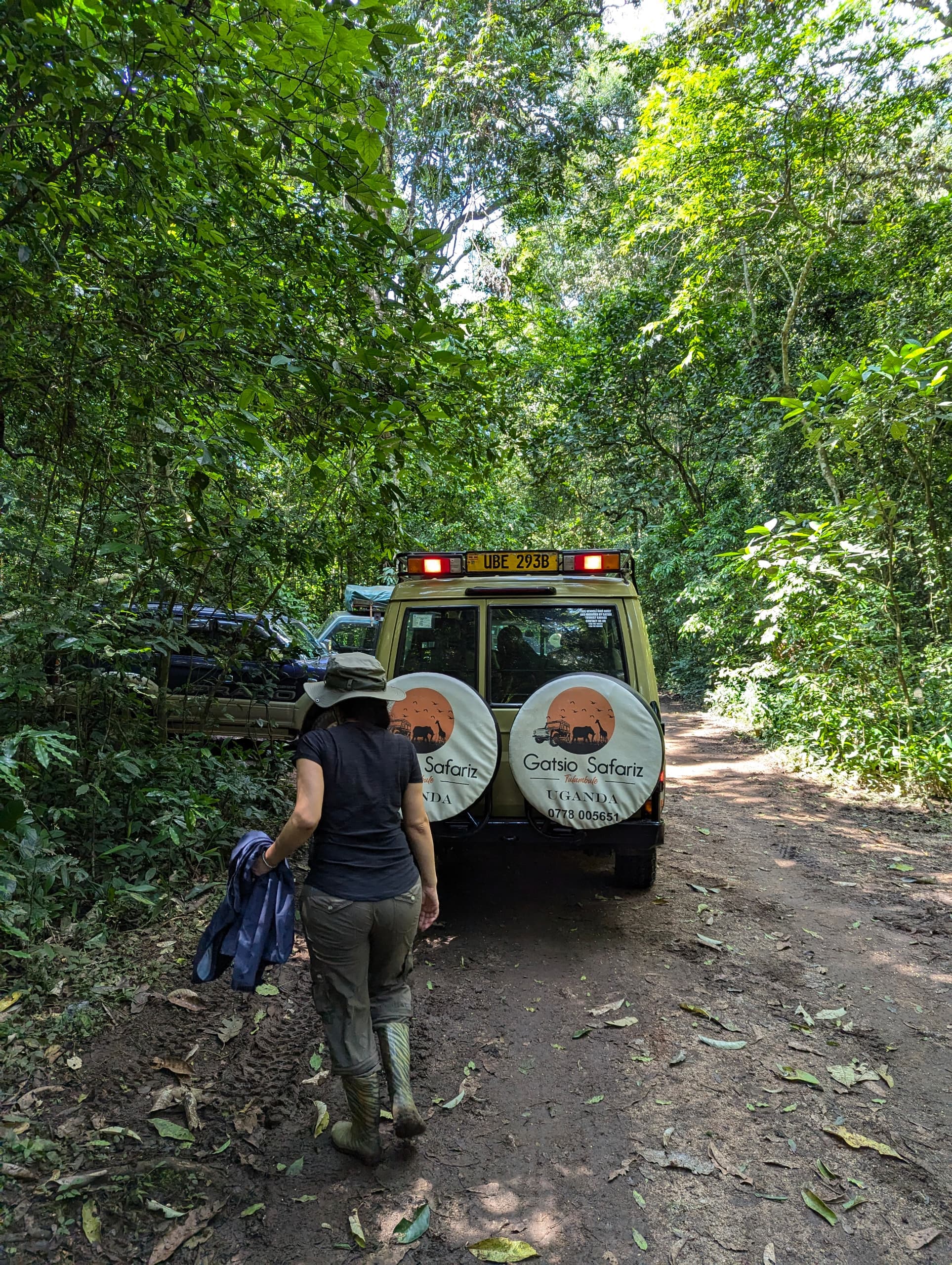 4-Day Bwindi Gorilla Trekking & Queen Elizabeth National Park Safari