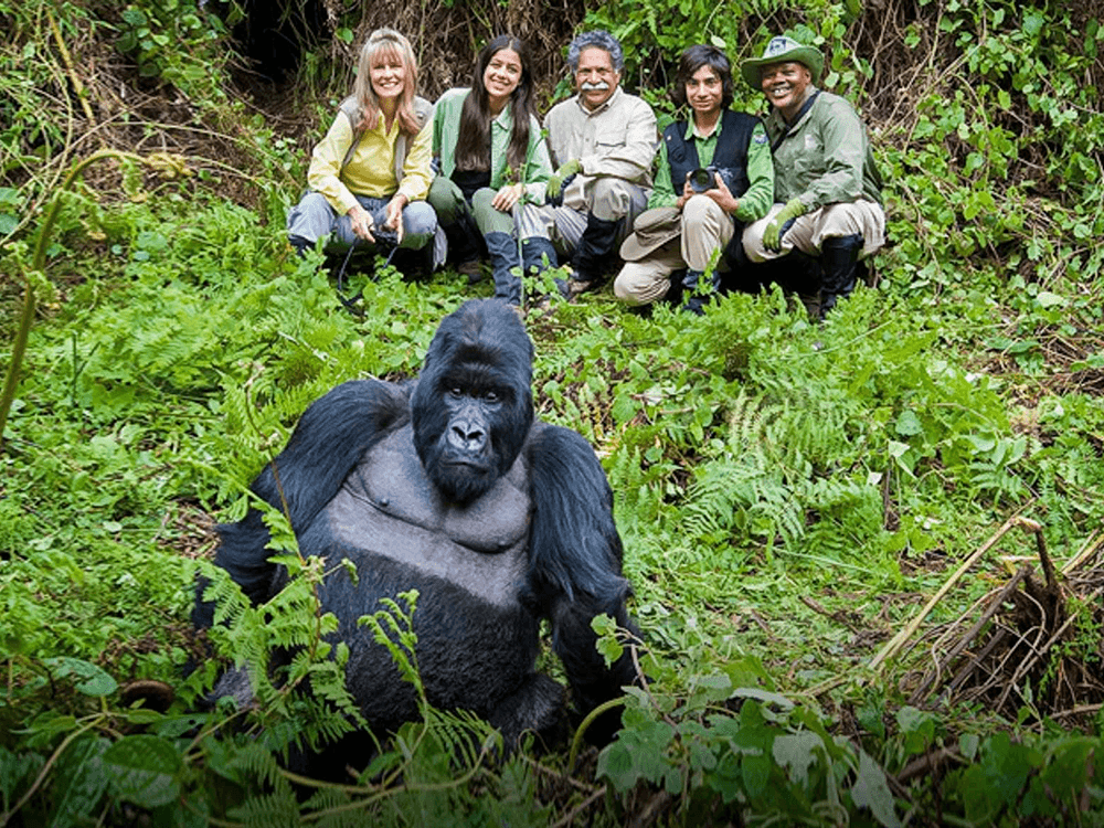 6-Day Uganda Primates Trekking Adventure
