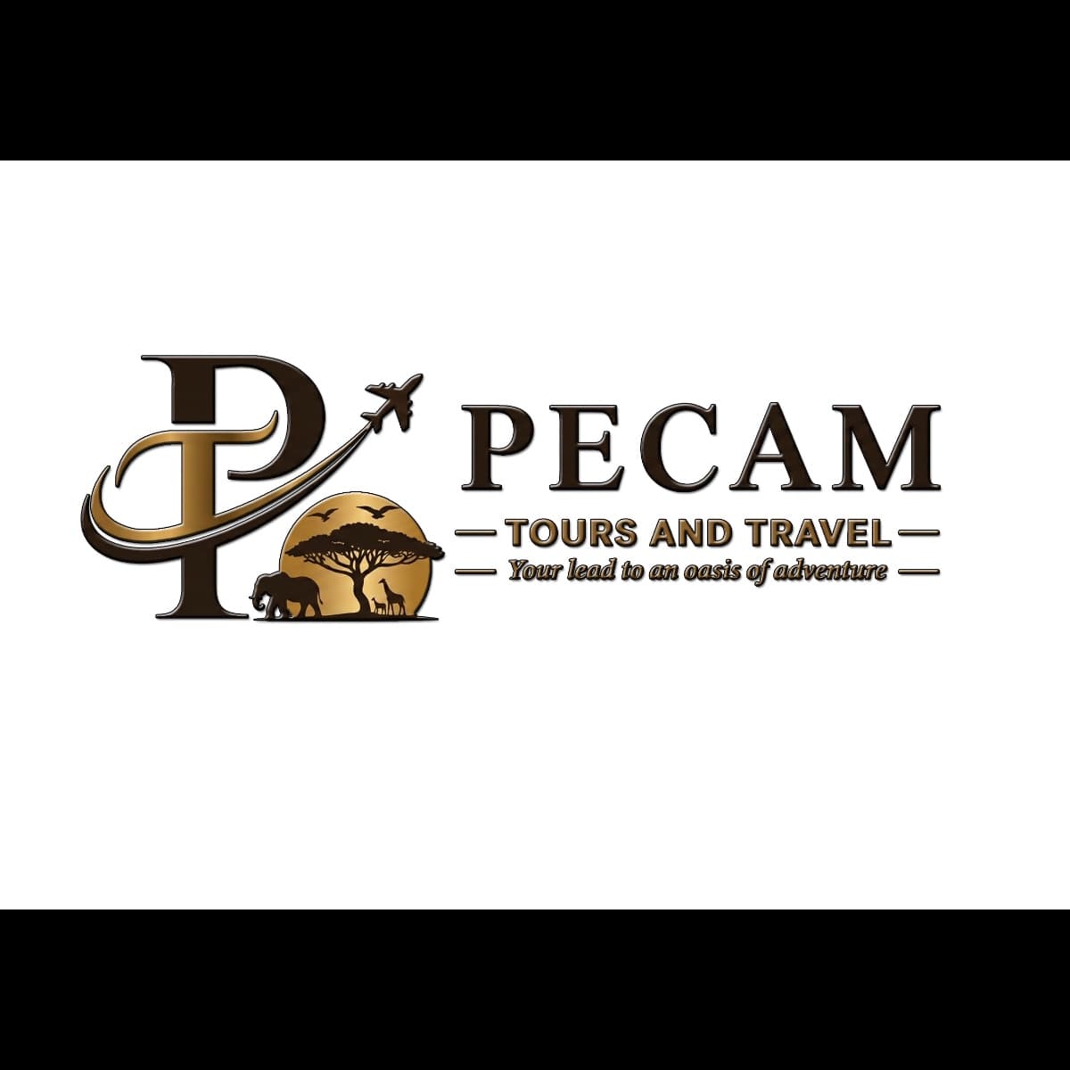 Pecam Tours & Travel Logo