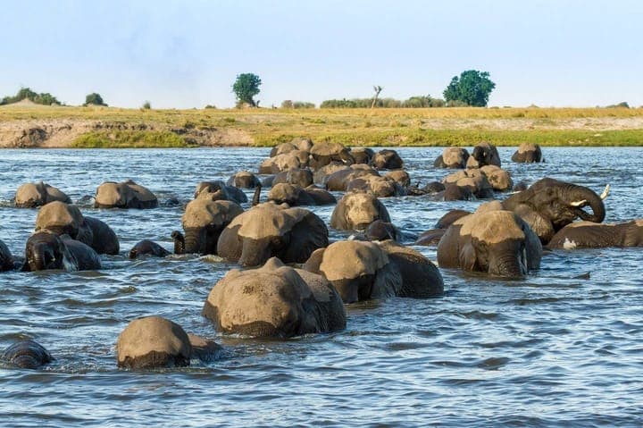 5-Day Tanzania Wildlife Safari