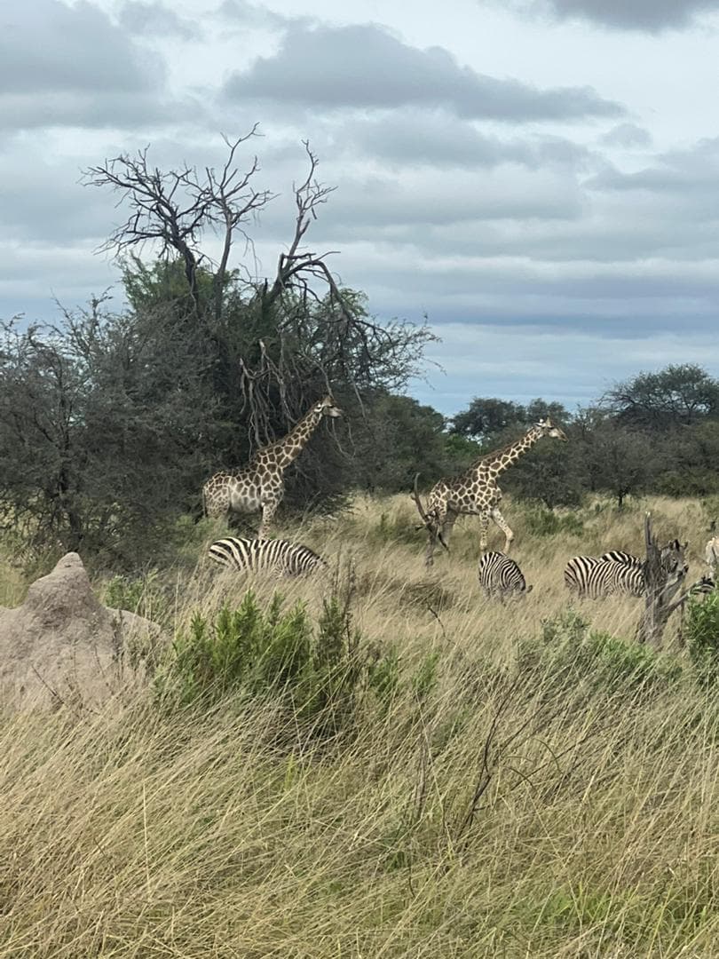 4-Day Drifting Through the Delta with Mokoro Safari
