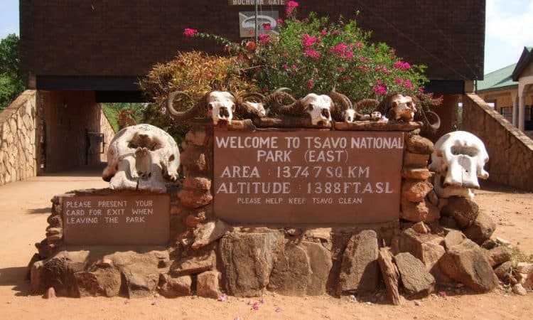5-Day Amboseli & Tsavo East National Parks